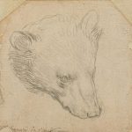 Da Vinci Head of a Bear