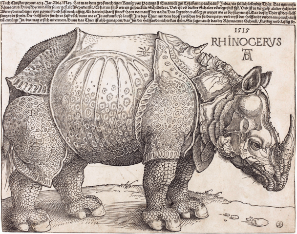 The Rhinoceros NGA 1964.8.697 enhanced