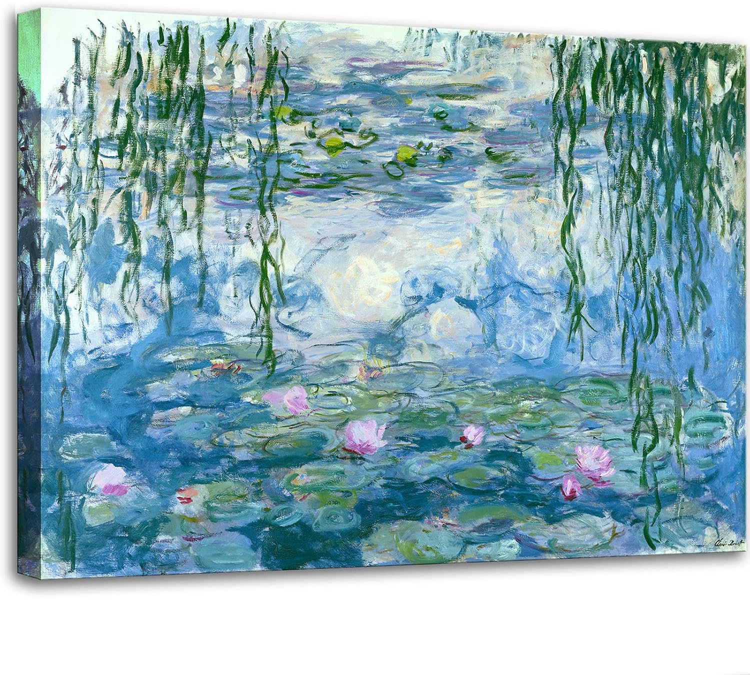 waterlilies