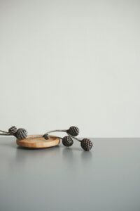 The Timeless Allure of Still Life Painting: History, Techniques, and Inspiration 4 A minimalist display of pine cones on a grey surface with ample space for text.