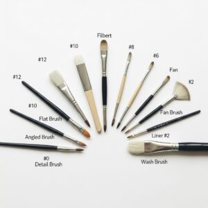 Types of Paint Brushes and Their Uses: Different types of paint brushes including round flat filbert and angular brushes with their specific uses for artists