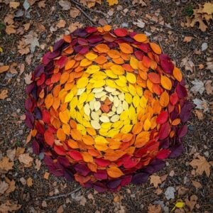 Climate Canvas: Inspiring Eco-Art Projects that Visualize a Greener Future 10 eco art projects andy goldsworthy land art
