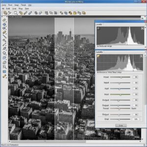 A screenshot of image editing software showing an image being prepared for ASCII art by adjusting its contrast and converting it to grayscale.