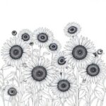 The Digital Bloom: Floral Clip Art Guide for Designers 16 field of sunflowers botanical illustration detailed line drawing white background scientific dra